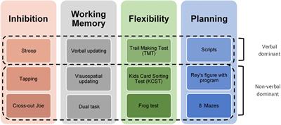 Development of shop executive function